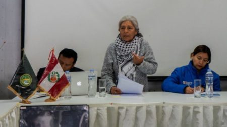 Escolares en Arequipa reiteran su rechazo contra María Agüero, congresista de Perú Libre señalada por caso mochasueldo imagen-13