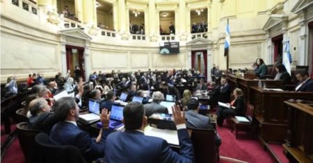 Senado aprobó reforma jubilatoria y resta conocer si Milei la vetará imagen-8