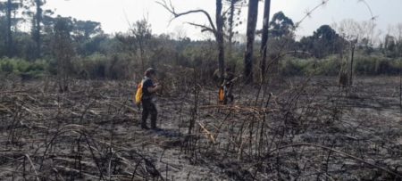 Sofocaron un principio de incendio en el Parque Provincial Araucaria imagen-16