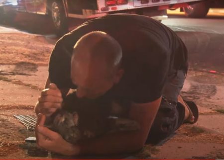 La emotiva historia del hombre que se reencontró con su gata tras el voraz incendio de su casa imagen-12