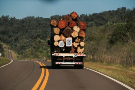 Gracias a un código QR en los camiones, cualquier ciudadano podrá saber origen y destino de la madera nativa transportada por rutas de Misiones imagen-8