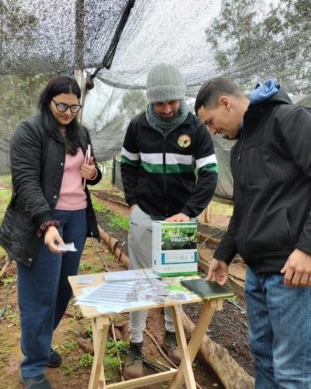 AGRICULTURA FAMILIAR: CAPACITACIÓN AGROECOLÓGICA Y ACOMPAÑAMIENTO A PRODUCTOR EN SAN ISIDRO imagen-11