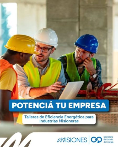 Vuelven los Talleres de Eficiencia Energética para Industrias Misioneras imagen-16