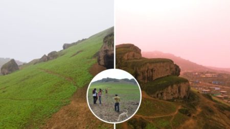 Un jardín en las alturas de Pachacútec: laderas de un cerro reverdecen en medio del desierto hasta convertirse en oasis imagen-10