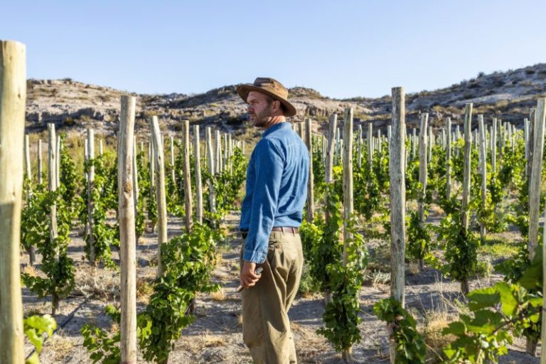 Es argentino, encontró agua en el desierto de la Patagonia y hoy vende vinos desde US$100 imagen-4