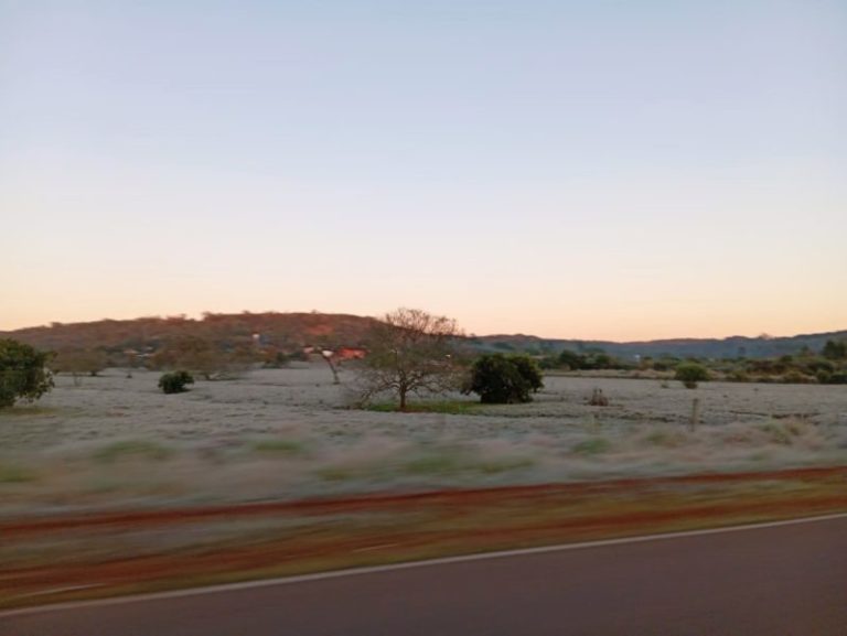 Así amaneció Olegario Víctor Andrade, con mínimas de 1°c imagen-4