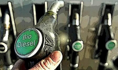 Día Mundial del Biodiésel: la importancia de este combustible “verde” imagen-14