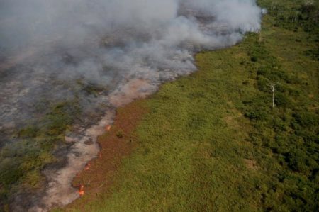 Un estudio indica que Brasil perdió 33% de áreas naturales de su territorio imagen-9