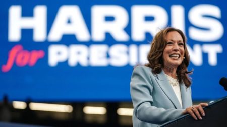 Kamala Harris obtuvo suficientes votos para ganar la candidatura presidencial demócrata, anuncia el presidente del partido imagen-14