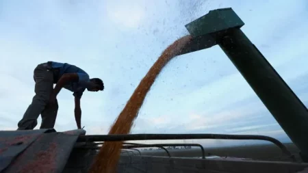 Gesto al campo: el Gobierno eliminó retenciones en algunos productos agroindustriales imagen-9