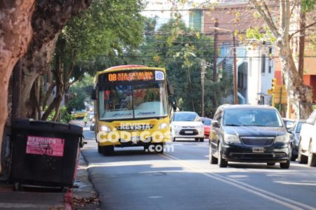 UTA confirmó un paro de transporte de 48 horas y afectará a Misiones imagen-15