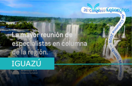 Iguazú será sede del Primer Congreso Argentino de Columna Vertebral del Mercosur imagen-10