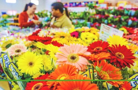 Foz do Iguaçu: La 25ª edición de Ecoflores se realizará del 6 al 15 de septiembre imagen-9