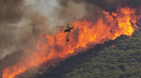 España en alerta por altas temperaturas y riesgo extremo de incendios forestales imagen-9