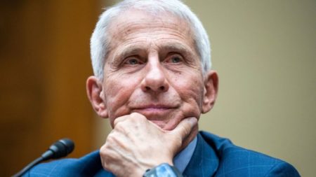 El doctor Anthony Fauci se recupera tras ser hospitalizado por el virus del Nilo Occidental imagen-14