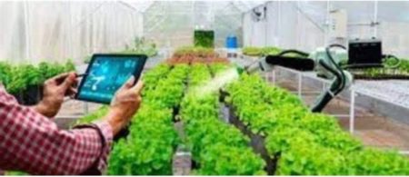 Lanzan una app con Inteligencia Artificial para productores agropecuarios imagen-14