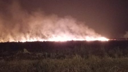 Posadas: bomberos combaten un importante incendio de malezas en Itaembé Guazú imagen-12