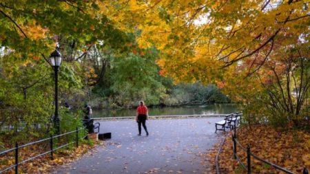 Malas noticias para los amantes del otoño: en Estados Unidos será "una extensión del verano" imagen-11