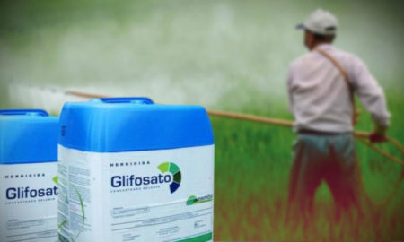 Uso del glifosato: productores piden medidas “ágiles y aplicables” al día a día imagen-11