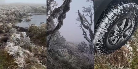 Video: espectacular helada en Santa Catarina durante la madrugada de este sábado imagen-10