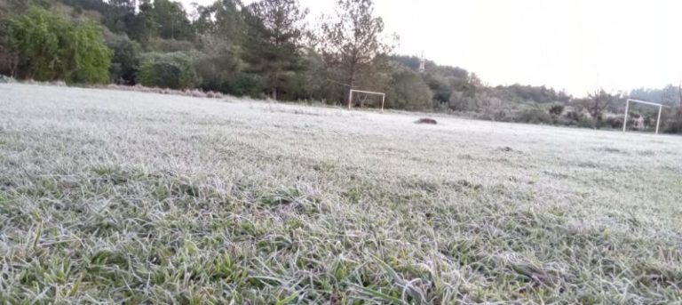 Mirá las fotos de las heladas en Eldorado este martes imagen-4