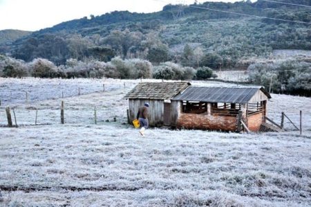 Advierten por la llegada a Misiones de una ola polar con heladas desde el domingo imagen-11