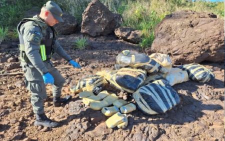 Puerto Piray: Gendarmería secuestró más de 322 kilos de marihuana en la ribera del río Paraná imagen-10