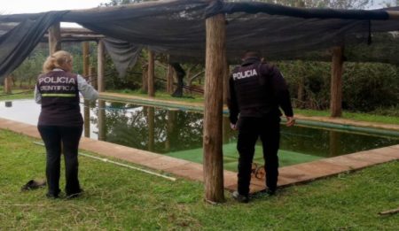 Campo Grande: Falleció un bebé ahogado en una piscina imagen-10