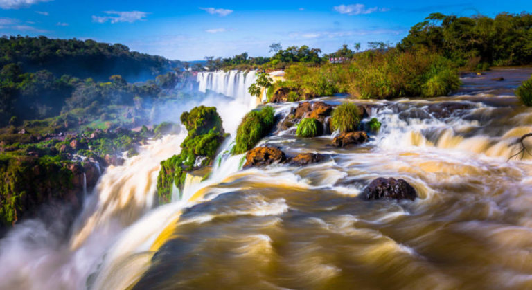 Investigadores del CONICET destacan la preservación de monumentos naturales en Misiones imagen-4