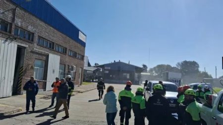 Rosario: un avioneta se estrelló en una planta industrial y el piloto murió imagen-11