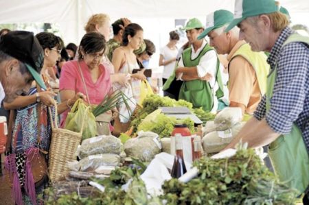 Posadas reactiva las Ferias Francas: oportunidades para productos frescos y locales imagen-14