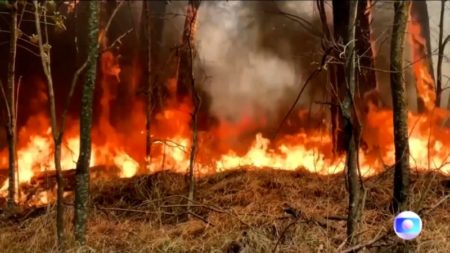 Autoridades de Brasil emiten alerta máxima por incendios en Sao Paulo imagen-12