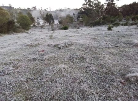 Frío polar que llega a Misiones provocará heladas en toda la provincia imagen-14