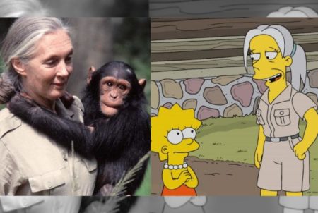 Quién es Jane Goodall, la etóloga que apareció en Los Simpsons y visitará Iguazú imagen-13