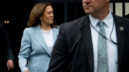 Cómo son los últimos días antes de la decisión de Kamala Harris sobre su candidato a la vicepresidencia imagen-10