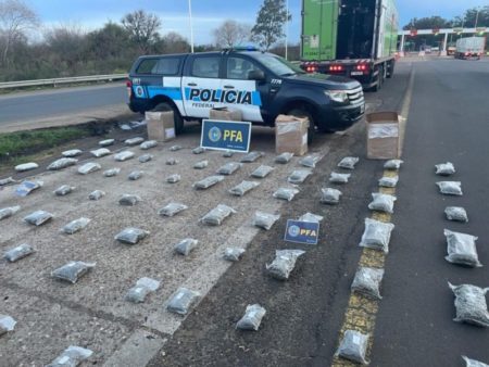 Desarticularon una organización criminal que traficaba marihuana desde Misiones a Buenos Aires imagen-8