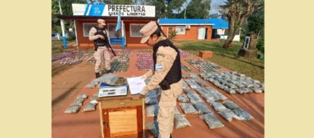 Operativo “Ojos Verdes”: decomisan cerca de 900 kilos de marihuana en Puerto Esperanza imagen-17