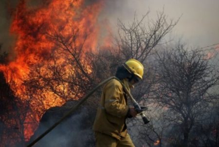 Emitieron un alerta por peligro de incendios forestales para Misiones y otras 17 provincias imagen-7