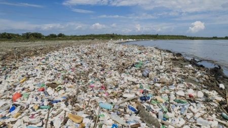 La misión para limpiar uno de los ríos más contaminados de Centroamérica imagen-15