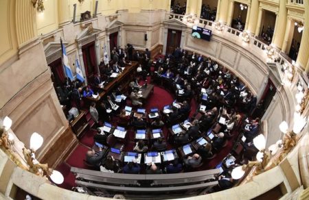 El Senado aprobó por unanimidad un proyecto para agravar penas para la sustracción de menores imagen-10