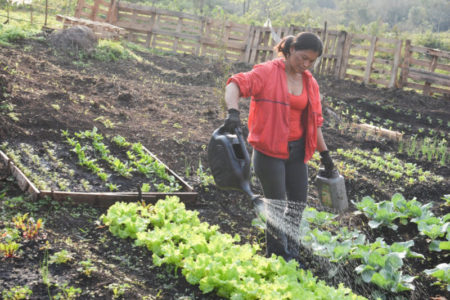 OBERÁ: Visita a la Huerta del Barrio San José en el Marco del Programa "Armamos Juntos la Huerta" – OberaInside.com.ar imagen-10