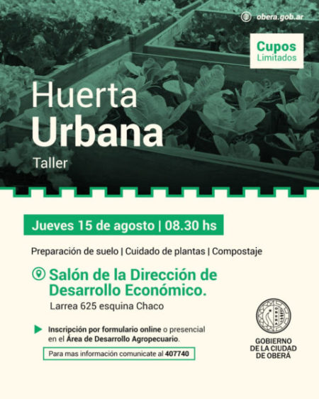 Taller de Huertas Urbanas: En Oberá se aprende a cultivar en espacios pequeños – OberaInside.com.ar imagen-13