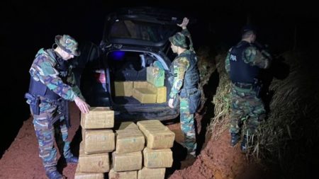 Operativo en Misiones: Prefectura decomisó un cargamento millonario de marihuana imagen-12