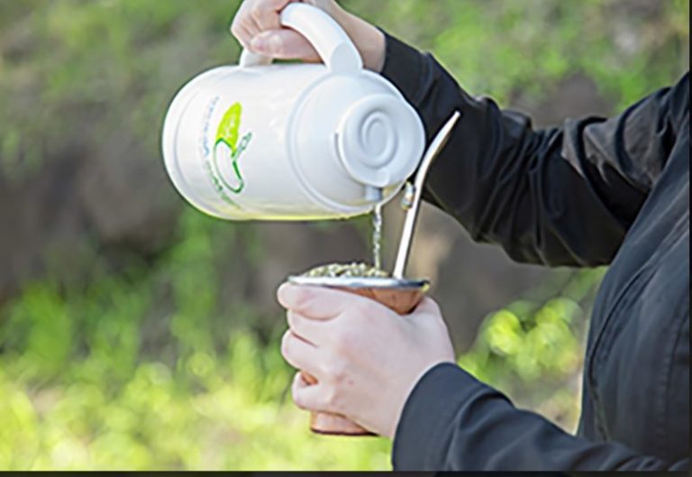 Gestiones para celebrar Día del Mate en la Cancillería argentina imagen-4