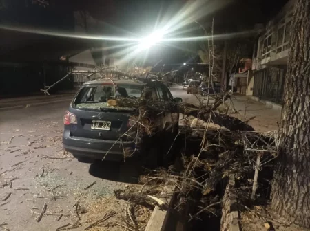 El viento Zonda provocó el apagón en dos zonas turísticas de Mendoza imagen-9