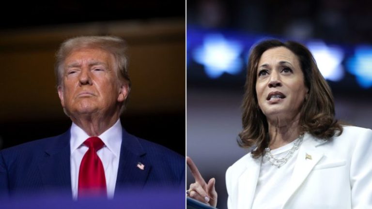 Los contrastes entre Harris y Trump se muestran plenamente en sus preparativos para el debate de la próxima semana imagen-4