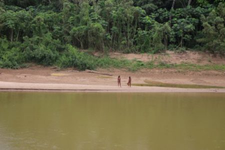 Explotación maderera desata violento ataque en reserva indígena de Madre de Dios: reportan dos muertos y desaparecidos imagen-7