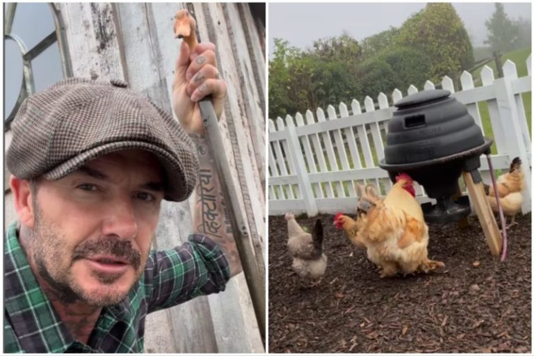 David Beckham mostró cómo es un día con él en su granja y su mujer Victoria le hizo un reclamo imagen-4