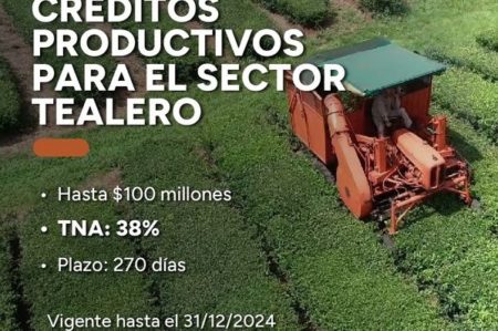 Destacan que los créditos al sector productivo producen un «efecto de multiplicación» que finalmente incentiva la reactivación económica de todas las actividades imagen-15