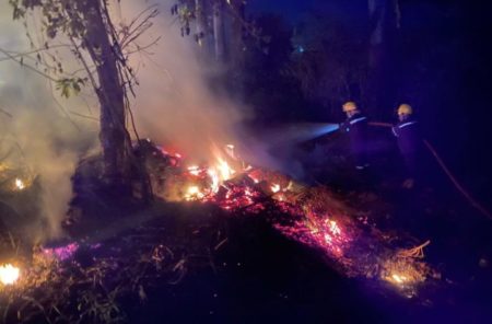 Principio de incendio en pastizales de Iguazú fue controlado a tiempo imagen-8